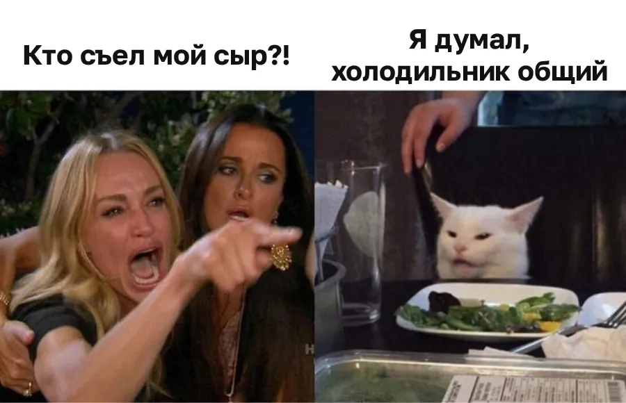 Мем с кричащей женщиной и котом за столом: 