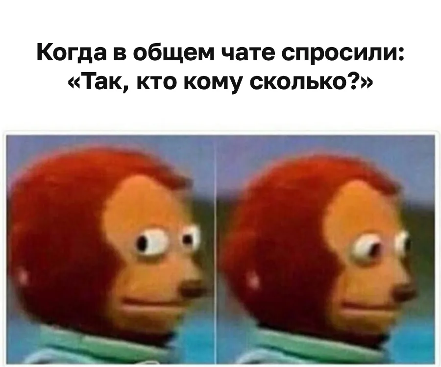 Мем с обезьянкой, которая неловко отводит взгляд: когда в общем чате спросили 